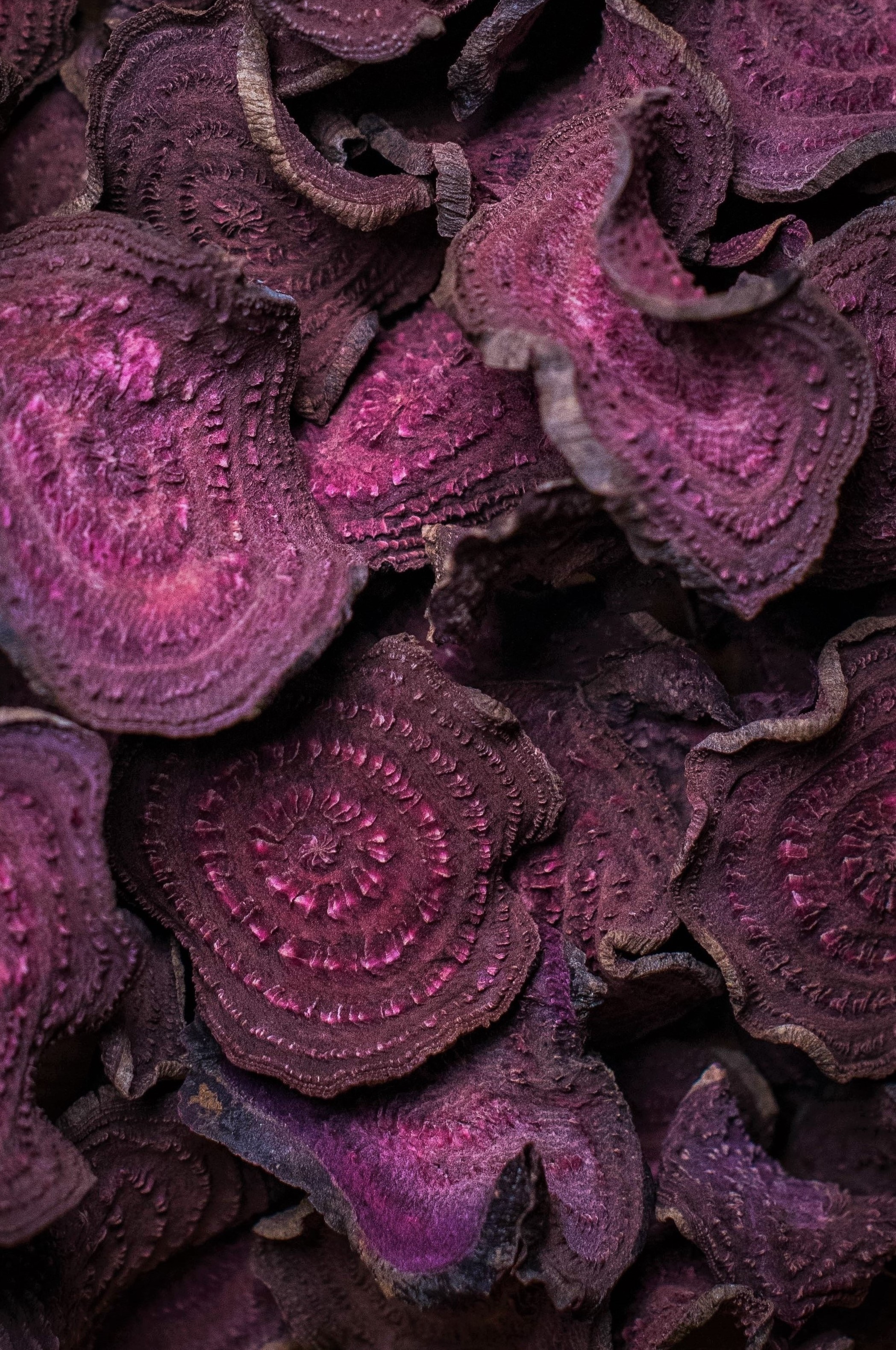 Dehidrirana cikla